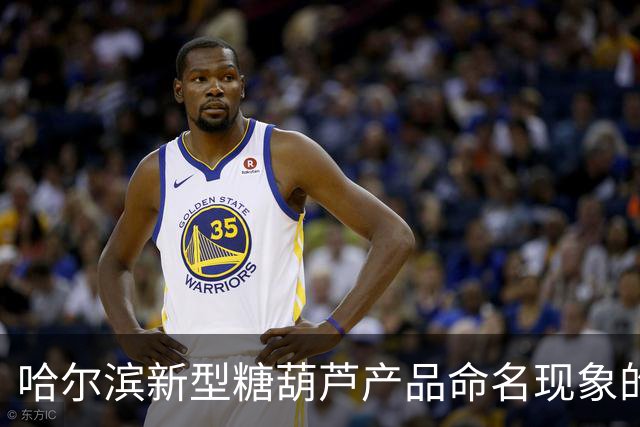 哈尔滨新型糖葫芦产品命名现象的分析